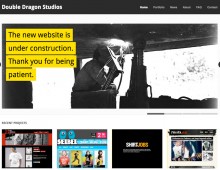 Double Dragon Studios